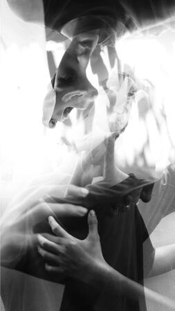 Untitled Untitled